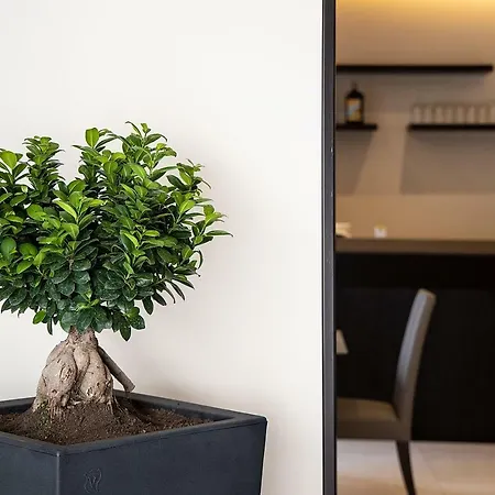 Szálloda Palazzo Argenta