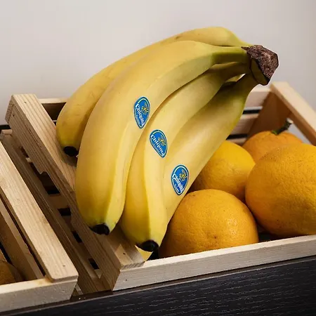 Szálloda Palazzo Argenta